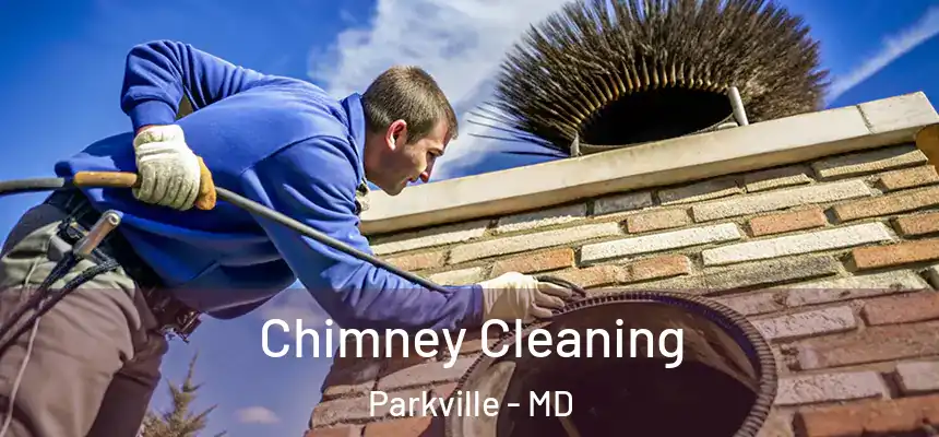  Chimney Cleaning Parkville - MD