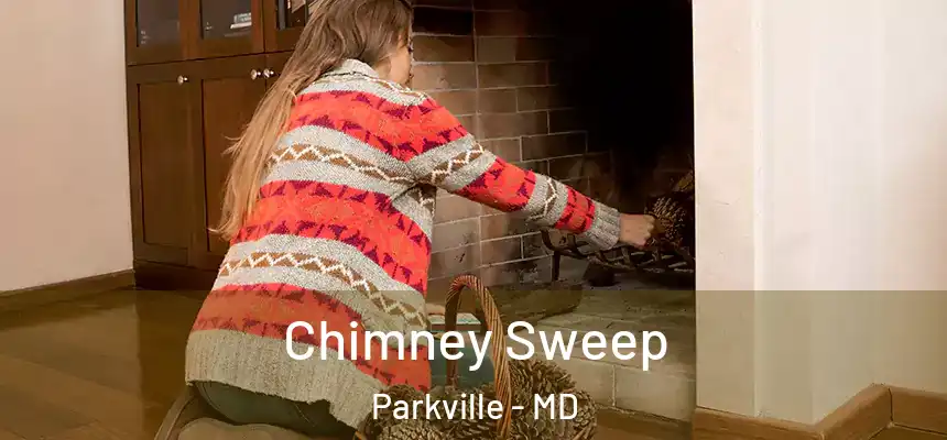  Chimney Sweep Parkville - MD