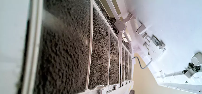 Preventive Air Duct Bacteria Removal in Parkville