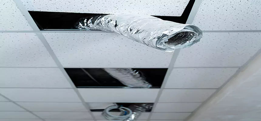 Affordable HVAC Sanitizing After Pest Removal in Parkville