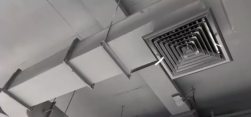 Restorative Allergy Relief Vent Cleaning – Coil, Blower & Housing Detail in Parkville