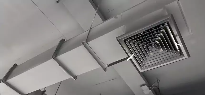 Our Rodent Droppings In Vents Services in Parkville, MD