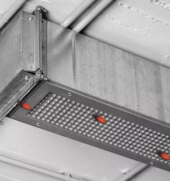 About Air Duct Cockroach Removal in Parkville, MD