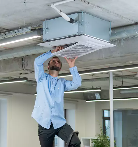 Advanced Rodent Droppings In Vents in Parkville, MD