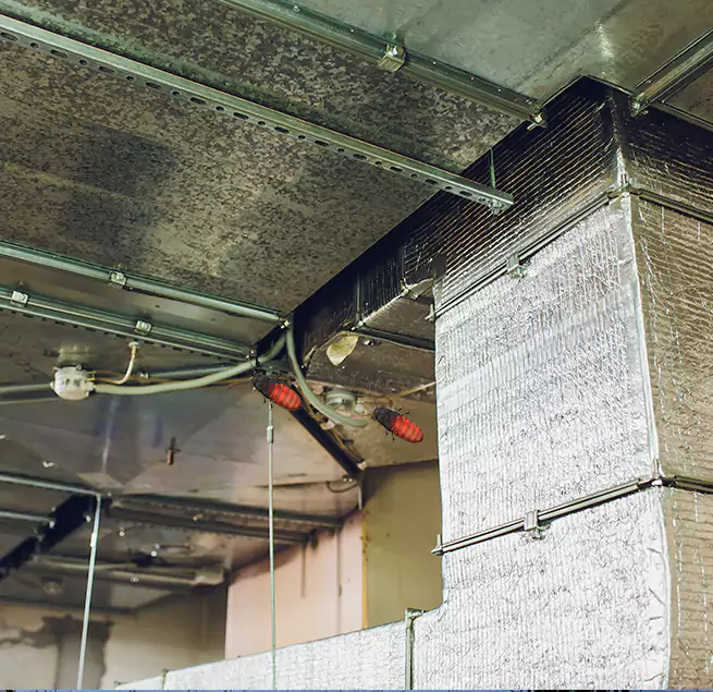 Why Homeowners & Businesses Trust Us in Parkville, MD?