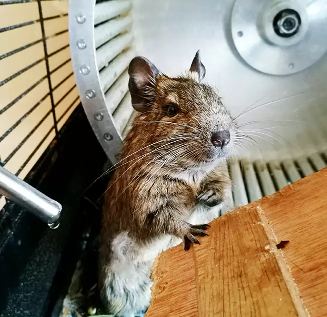 Why Homeowners & Businesses Trust Us Parkville, MD